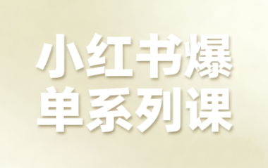 尼采老师·小红书爆单系列课-红薯之家