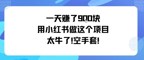 一天挣了9张用小红书做这个项目太牛了，空手套-红薯之家