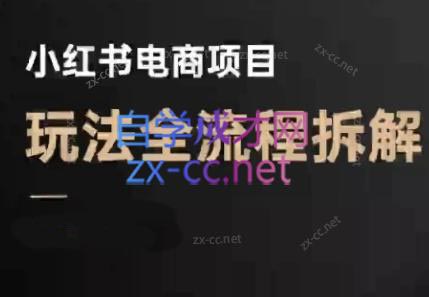 菲菲老师·小红书电商玩法(更新9月)-红薯之家